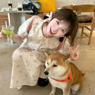 纯情罗曼史第二季