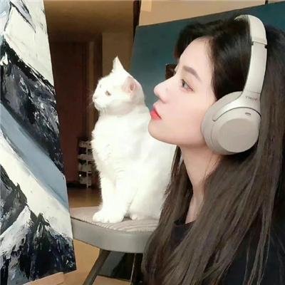 冰洋遇险